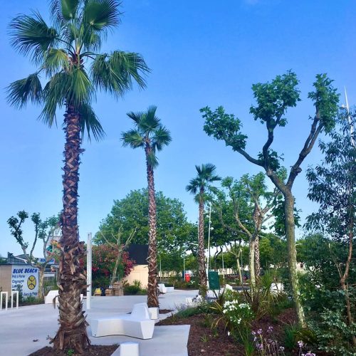 24ab6810-7089-45b0-84d9-f2d68a66c438